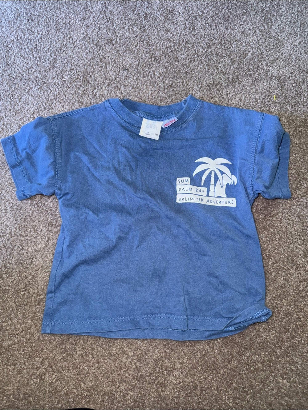Zara Blue Short Sleeve Palm Bay Graphic Tee